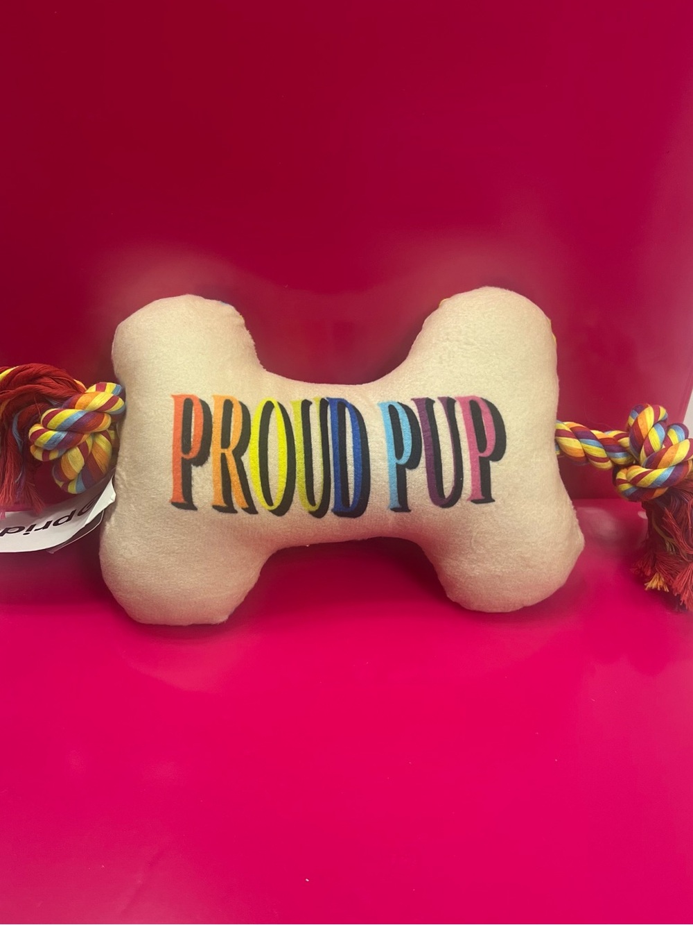 Target Proud Pup Rainbow Bone Dog Toy - White Plush with Multicolor Rope